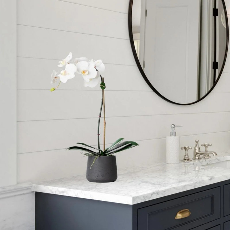 Artificial Orchid Plant, White