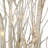 White Birch Trees with 160 LEDs Lights