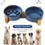 Bol pour animaux de compagnie en céramique au four Kilow-Change Glaze-131643909