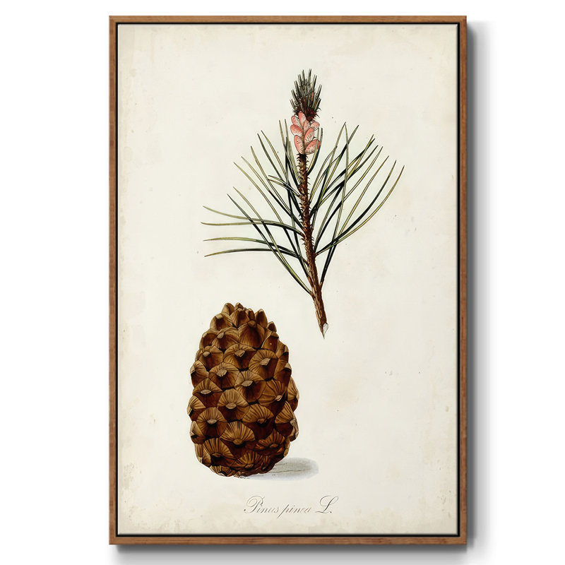 Étude d'arbre antique V, H 37 po x l 25 po x P 1,5 po, Cadre noyer