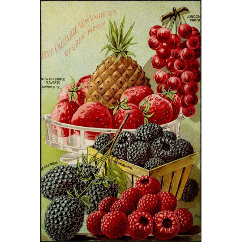 Tapis décoratif à motif texturé et panier de fruits, Sous-tapis rond 3 pi 3 po inclus