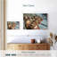 Coquillages Aletra-108708391