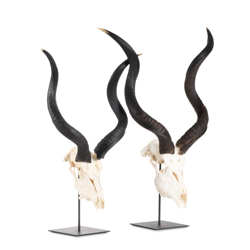 Mounted Kudu Skull, 36" H x 21" W x 10" D