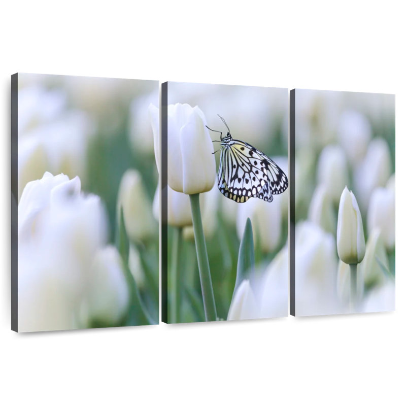Papillon blanc perle, H 24 po x l 38 po