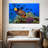 Brampt Royal Angelfish-107850758