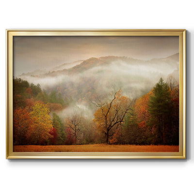 " Photography Study Autumn Mist " Print
