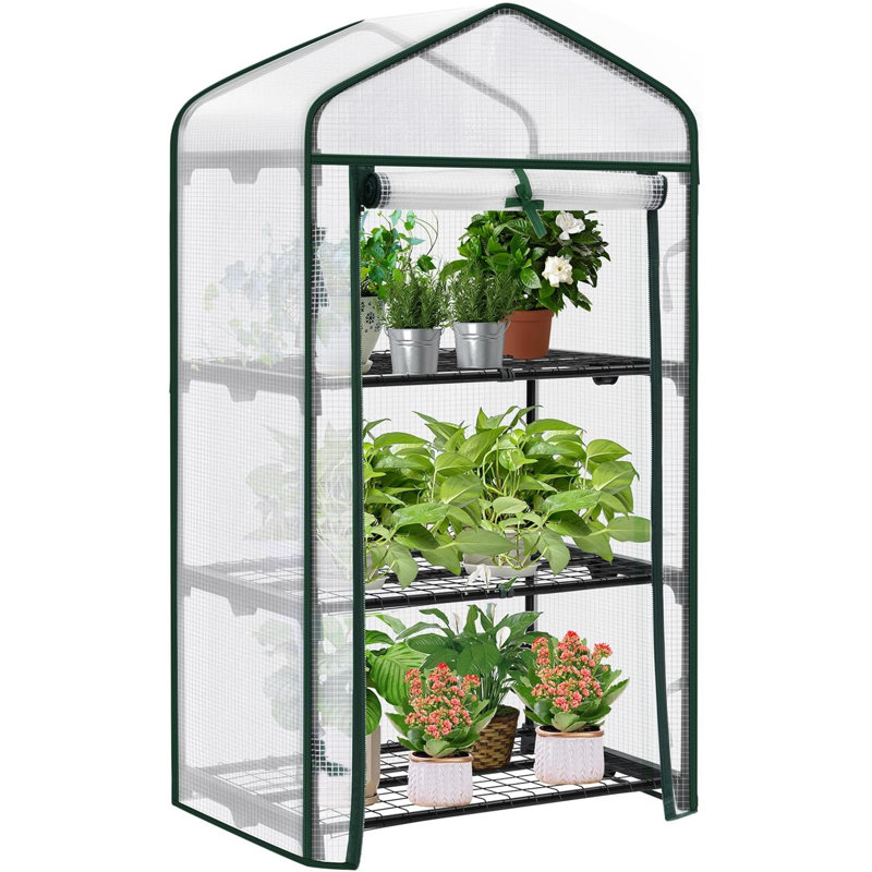 Brade 2 Ft W x 1.5 Ft D Mini Greenhouse, White