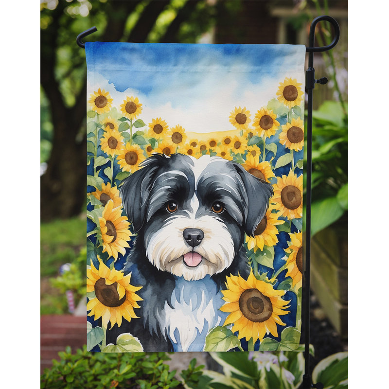 Lévrier irlandais dans le drapeau du jardin de tournesols, Bichon havanais