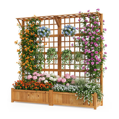 Lit de jardin surélevé 71 po avec treillis, jardinière en bois avec toit suspendu et drainage pour plantes grimpantes, fleurs ou vignes