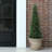 Adcock Artificial UV Resistant Cedar Topiary Trees, Faux Cypress Plants with Solar Light String-416030202-412024369