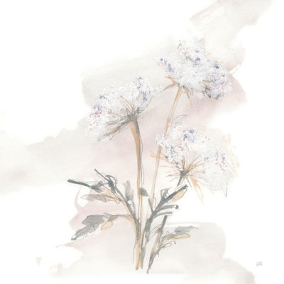 Queen Annes Lace I