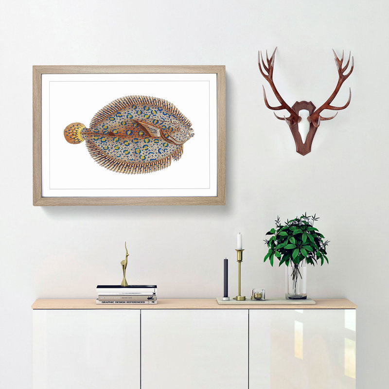 Argus Flounder Fish by George Shaw - Framed Print, 40cm H x 60cm W x 2cm D, Oak
