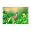 No Frame Print on Canvas-1298105731