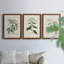 Antique Turpin Botanical VII - Ensemble de 3 peintures sur toile encadrées-1032562617-1032562616