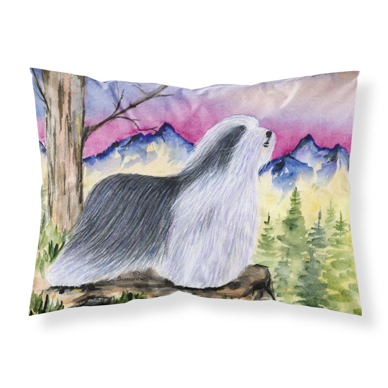 Taie d’oreiller à mèches d’humidité collie barbu