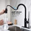 Robinet de cuisine avec douchette extractible