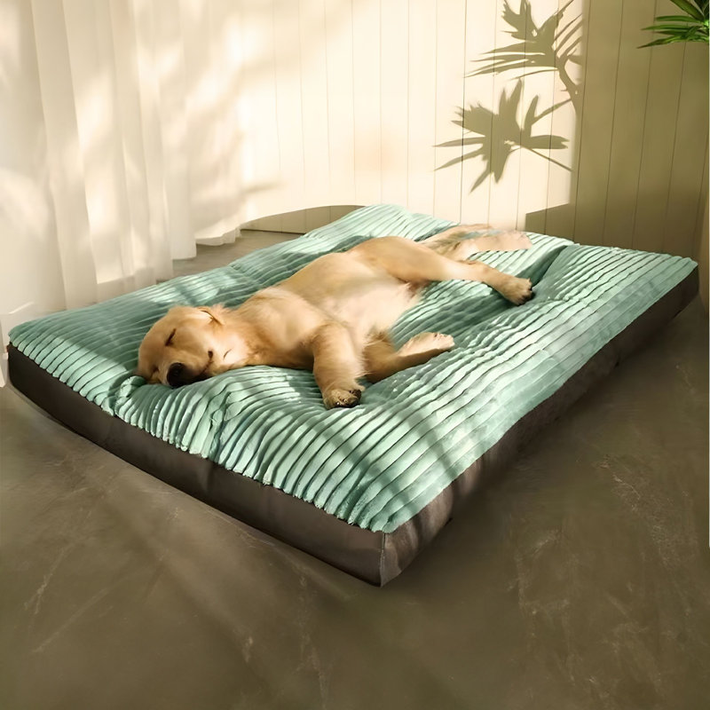 Tapis de lit pour chien antidérapant lavable, Vert, H 2,8 po x l 31,5 po x P 24,4 po