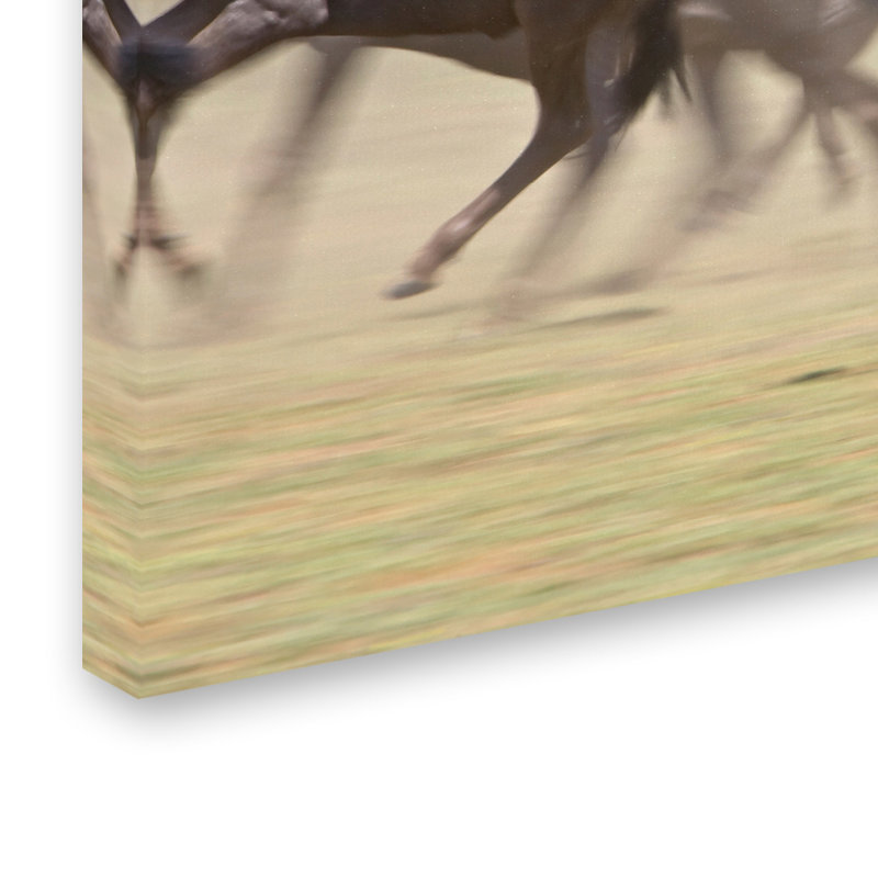 Robert Harding Animals Running Canvas Photography Art