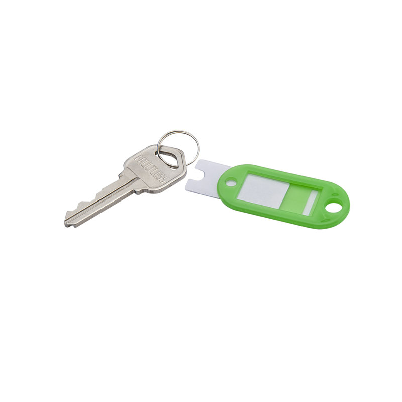 Assorted Color Plastic Key Tags with Write-On Labels - 100 Pack