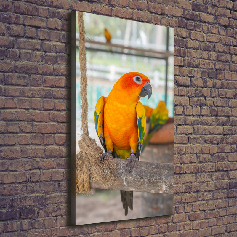 Parrot - Wrapped Canvas Print, 140cm H x 70cm W