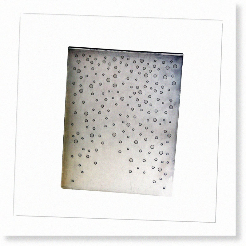 Snowfall Delight Embossing Folder