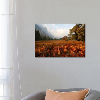 Meadow 1 Piece Wrapped Canvas Wall Art