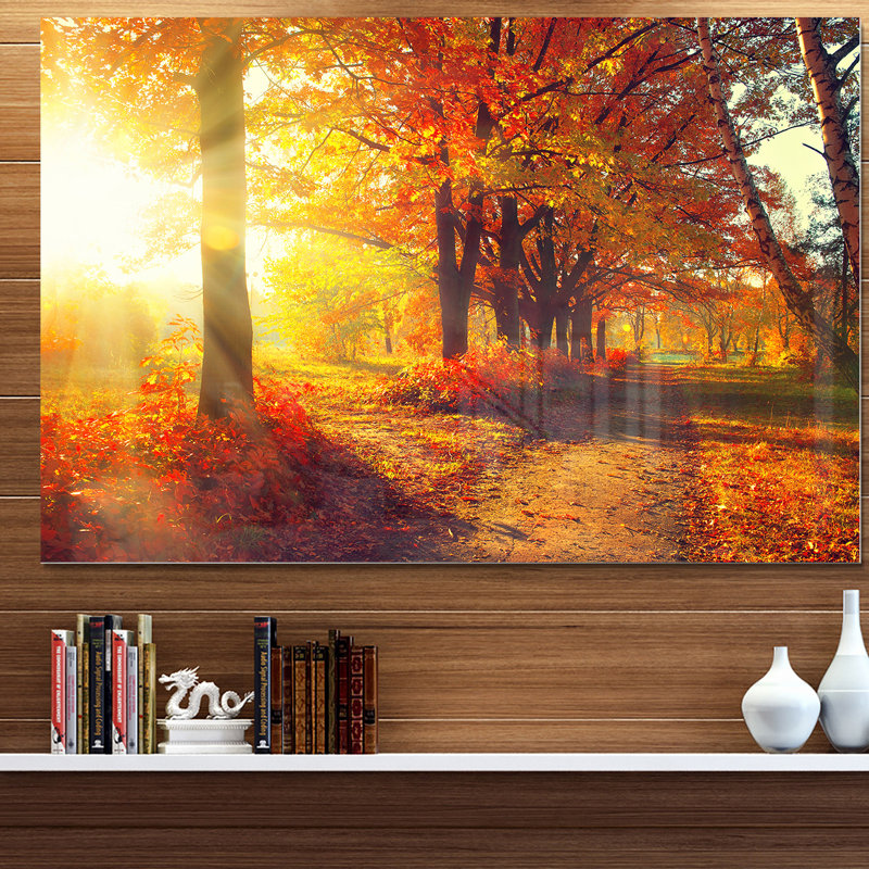 «Autumnal Trees, Sunrays», reproduction de photo sur toile tendue, H 30 po x l 40 po x P 1 po, Métal