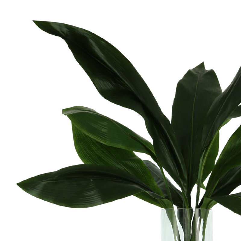 Rockwood Faux Aspidistra Plant in Glass Vase