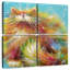Chaton Brampt Calypso-109099037