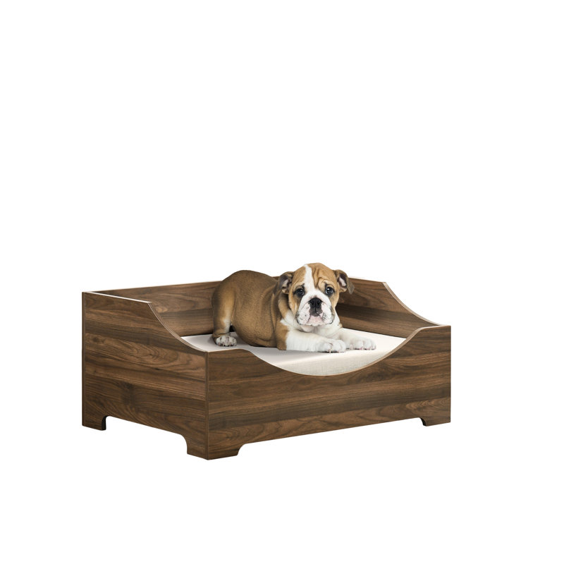 Lit pour animal de compagnie brun moderne 36 po, coussin et housse amovible, 22 lb poids en bois d'aulne, maximum