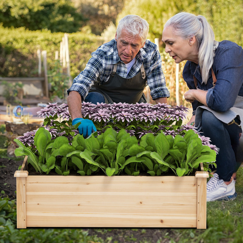 Lit de jardin surélevé en bois 4 pi x 4 pi Hallmundur