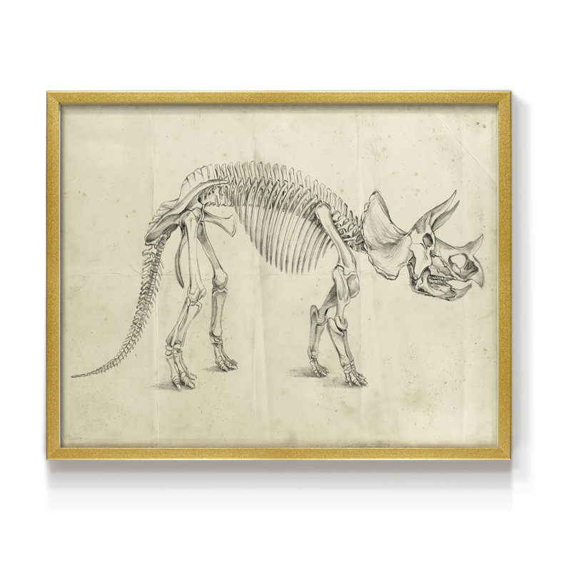Dinosaur Study II -Framed Print - Restickable, 8" H x 10" W