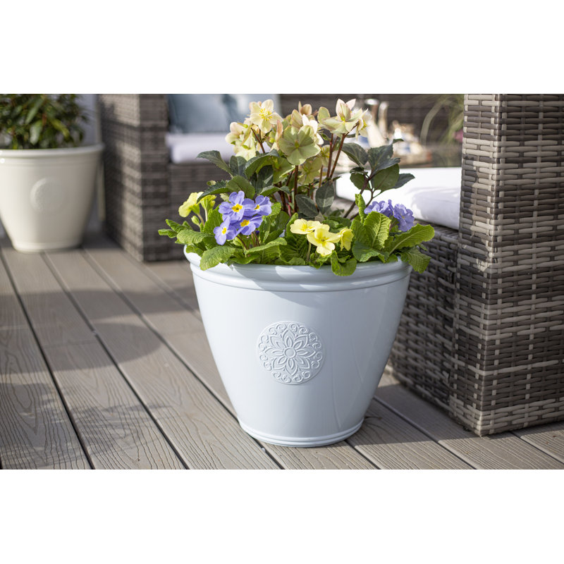 Eden Emblem, Blue, 30cm H x 40cm W x 40cm D