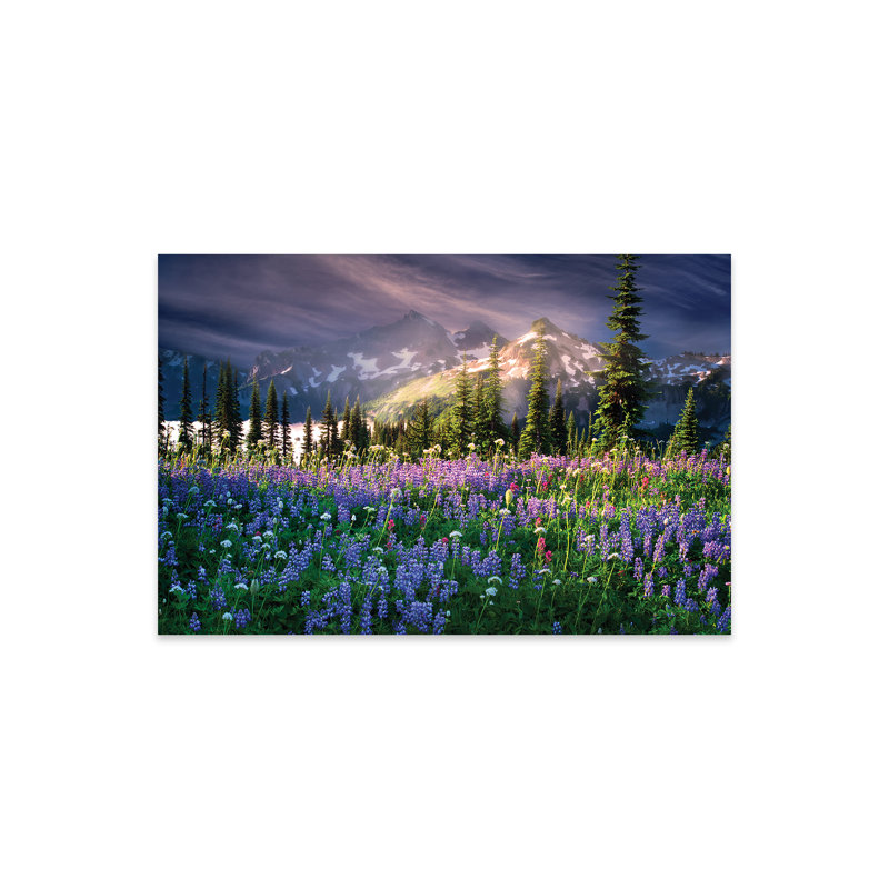 " Mountain Wildflowers " by Dennis Frates, 16" H x 24" W x 0.25" D, Plastic/Acrylic