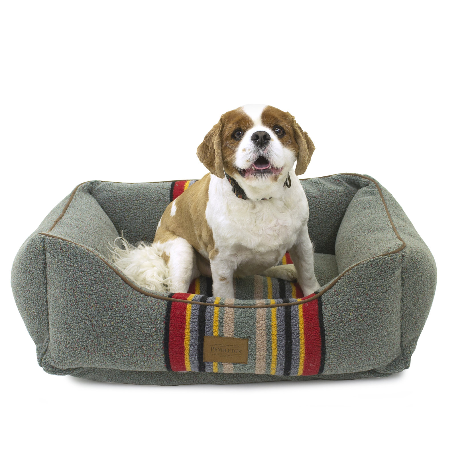 Yakima Striped Pet Bed, Medium ( 30"W x 24" D x 9" H), Green Striped Sherpa
