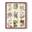Antique Floral Grid II, reproduction encadrée - bois massif-1284017230-1284017228