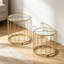Set of 2 Glass-Top Coffee Tables-274617561