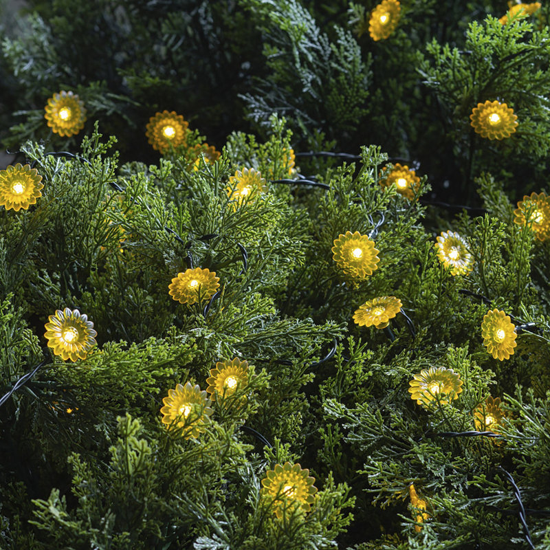 Guirlande de 30 lumières DEL Lonnetta