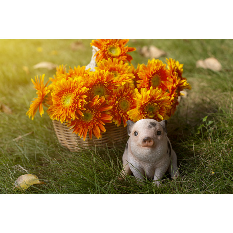 Chubby Piglet Sitting Statue