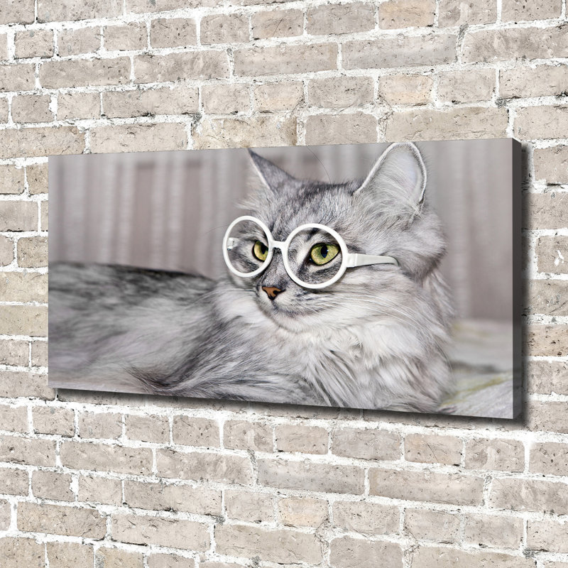 Cat With Glasses - Wrapped Canvas Print