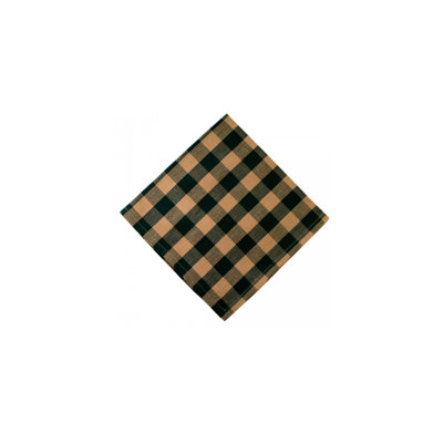 Izzie Cotton Gingham Square Napkin
