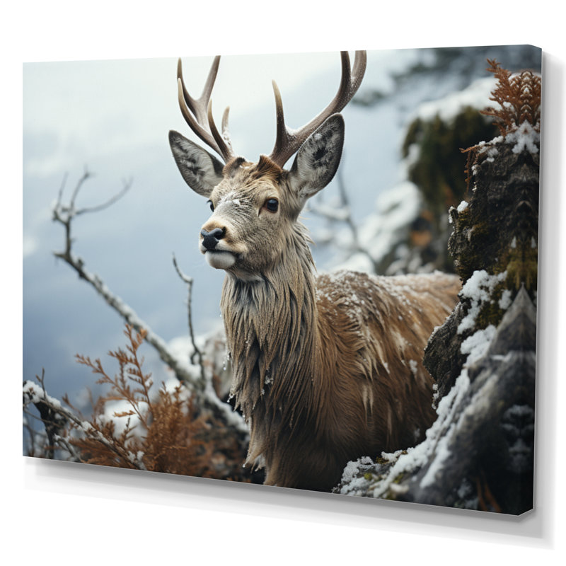 «Winter Deer», photographie monochrome II sur toile, H 24 po x l 32 po x P 1 po, Toile tendue
