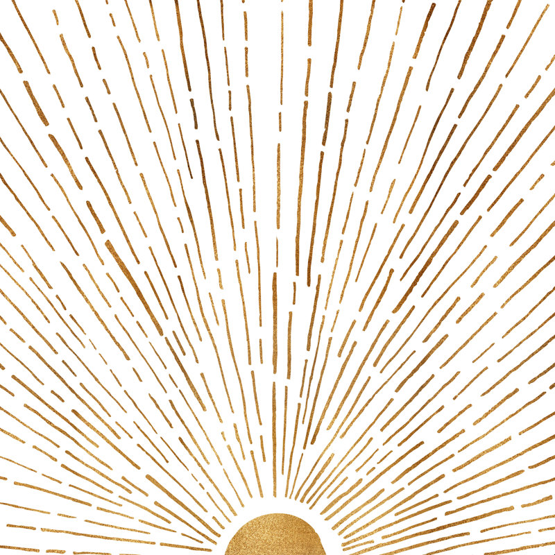 Moderne, tropical, laissez entrer le soleil, H 12 po x l 12 po