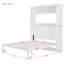 Grand lit escamotable mural avec tablettes, blanc