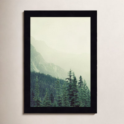 Rocky Mountain Trees 7 Photo Print