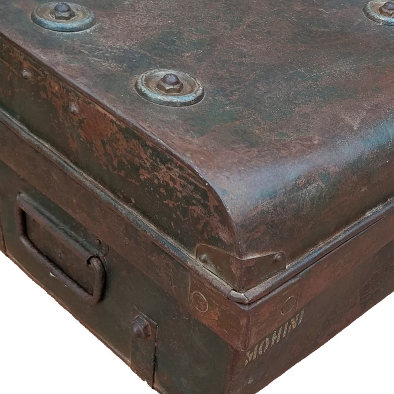 Agnant Handmade Decorative Trunk