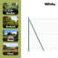 Galvanised Steel Border Fencing-523190841-523190843