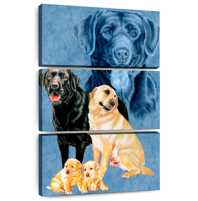 Brampt Labrador Retrievers, 32" H x 20" W