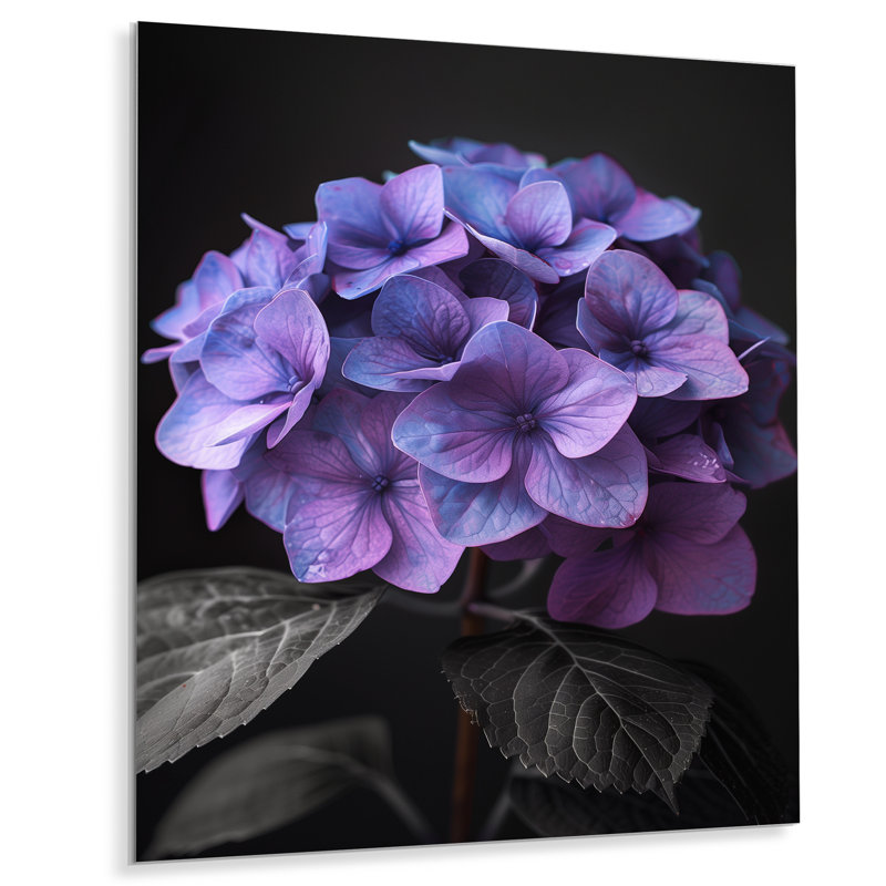 Hortensia mauve, charme de ferme I - hortensia, art mural, H 12 po x l 20 po, Cadre flottant doré