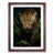 Walnut Framed selected